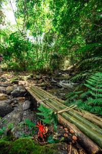 BIB: 
                            <button type="button" onclick="openModal(24822465)" class="btn btn-primary btn-sm float-right btn-popup" data-toggle="modal" data-target=".modal-high-quality">
                        <i class="fas fa-shopping-cart"></i> Add to Cart
                    </button>
                                            <button type="button" onclick="isThisMe(24822465, true)" class="btn btn-success btn-sm float-right btn-popup btn-isme hidden" data-toggle="tooltip" data-placement="bottom" title="นี่คือรูปของคุณใช่ไหม คลิกที่นี่เพื่อเอาเข้าอัลบั้ม">
                        <i class="fas fa-plus"></i> Add to album
                    </button>
                    <button type="button" onclick="isThisMe(24822465, false)" class="btn btn-warning btn-sm float-right btn-popup btn-isnotme hidden">
                        <i class="fas fa-ban"></i> Remove from album
                    </button>