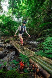 BIB: 
                            <button type="button" onclick="openModal(24821370)" class="btn btn-primary btn-sm float-right btn-popup" data-toggle="modal" data-target=".modal-high-quality">
                        <i class="fas fa-shopping-cart"></i> Add to Cart
                    </button>
                                            <button type="button" onclick="isThisMe(24821370, true)" class="btn btn-success btn-sm float-right btn-popup btn-isme hidden" data-toggle="tooltip" data-placement="bottom" title="นี่คือรูปของคุณใช่ไหม คลิกที่นี่เพื่อเอาเข้าอัลบั้ม">
                        <i class="fas fa-plus"></i> Add to album
                    </button>
                    <button type="button" onclick="isThisMe(24821370, false)" class="btn btn-warning btn-sm float-right btn-popup btn-isnotme hidden">
                        <i class="fas fa-ban"></i> Remove from album
                    </button>