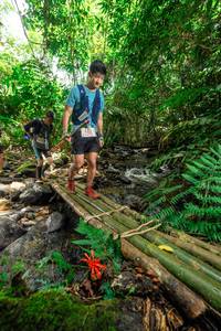 BIB: 
                            <button type="button" onclick="openModal(24822902)" class="btn btn-primary btn-sm float-right btn-popup" data-toggle="modal" data-target=".modal-high-quality">
                        <i class="fas fa-shopping-cart"></i> Add to Cart
                    </button>
                                            <button type="button" onclick="isThisMe(24822902, true)" class="btn btn-success btn-sm float-right btn-popup btn-isme hidden" data-toggle="tooltip" data-placement="bottom" title="นี่คือรูปของคุณใช่ไหม คลิกที่นี่เพื่อเอาเข้าอัลบั้ม">
                        <i class="fas fa-plus"></i> Add to album
                    </button>
                    <button type="button" onclick="isThisMe(24822902, false)" class="btn btn-warning btn-sm float-right btn-popup btn-isnotme hidden">
                        <i class="fas fa-ban"></i> Remove from album
                    </button>