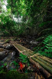 BIB: 
                            <button type="button" onclick="openModal(24822622)" class="btn btn-primary btn-sm float-right btn-popup" data-toggle="modal" data-target=".modal-high-quality">
                        <i class="fas fa-shopping-cart"></i> Add to Cart
                    </button>
                                            <button type="button" onclick="isThisMe(24822622, true)" class="btn btn-success btn-sm float-right btn-popup btn-isme hidden" data-toggle="tooltip" data-placement="bottom" title="นี่คือรูปของคุณใช่ไหม คลิกที่นี่เพื่อเอาเข้าอัลบั้ม">
                        <i class="fas fa-plus"></i> Add to album
                    </button>
                    <button type="button" onclick="isThisMe(24822622, false)" class="btn btn-warning btn-sm float-right btn-popup btn-isnotme hidden">
                        <i class="fas fa-ban"></i> Remove from album
                    </button>