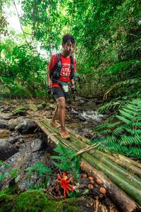 BIB: 
                            <button type="button" onclick="openModal(24821062)" class="btn btn-primary btn-sm float-right btn-popup" data-toggle="modal" data-target=".modal-high-quality">
                        <i class="fas fa-shopping-cart"></i> Add to Cart
                    </button>
                                            <button type="button" onclick="isThisMe(24821062, true)" class="btn btn-success btn-sm float-right btn-popup btn-isme hidden" data-toggle="tooltip" data-placement="bottom" title="นี่คือรูปของคุณใช่ไหม คลิกที่นี่เพื่อเอาเข้าอัลบั้ม">
                        <i class="fas fa-plus"></i> Add to album
                    </button>
                    <button type="button" onclick="isThisMe(24821062, false)" class="btn btn-warning btn-sm float-right btn-popup btn-isnotme hidden">
                        <i class="fas fa-ban"></i> Remove from album
                    </button>