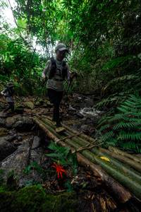 BIB: 
                            <button type="button" onclick="openModal(24823329)" class="btn btn-primary btn-sm float-right btn-popup" data-toggle="modal" data-target=".modal-high-quality">
                        <i class="fas fa-shopping-cart"></i> Add to Cart
                    </button>
                                            <button type="button" onclick="isThisMe(24823329, true)" class="btn btn-success btn-sm float-right btn-popup btn-isme hidden" data-toggle="tooltip" data-placement="bottom" title="นี่คือรูปของคุณใช่ไหม คลิกที่นี่เพื่อเอาเข้าอัลบั้ม">
                        <i class="fas fa-plus"></i> Add to album
                    </button>
                    <button type="button" onclick="isThisMe(24823329, false)" class="btn btn-warning btn-sm float-right btn-popup btn-isnotme hidden">
                        <i class="fas fa-ban"></i> Remove from album
                    </button>