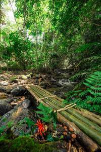 BIB: 
                            <button type="button" onclick="openModal(24822487)" class="btn btn-primary btn-sm float-right btn-popup" data-toggle="modal" data-target=".modal-high-quality">
                        <i class="fas fa-shopping-cart"></i> Add to Cart
                    </button>
                                            <button type="button" onclick="isThisMe(24822487, true)" class="btn btn-success btn-sm float-right btn-popup btn-isme hidden" data-toggle="tooltip" data-placement="bottom" title="นี่คือรูปของคุณใช่ไหม คลิกที่นี่เพื่อเอาเข้าอัลบั้ม">
                        <i class="fas fa-plus"></i> Add to album
                    </button>
                    <button type="button" onclick="isThisMe(24822487, false)" class="btn btn-warning btn-sm float-right btn-popup btn-isnotme hidden">
                        <i class="fas fa-ban"></i> Remove from album
                    </button>