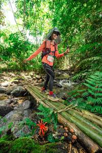 BIB: 
                            <button type="button" onclick="openModal(24822354)" class="btn btn-primary btn-sm float-right btn-popup" data-toggle="modal" data-target=".modal-high-quality">
                        <i class="fas fa-shopping-cart"></i> Add to Cart
                    </button>
                                            <button type="button" onclick="isThisMe(24822354, true)" class="btn btn-success btn-sm float-right btn-popup btn-isme hidden" data-toggle="tooltip" data-placement="bottom" title="นี่คือรูปของคุณใช่ไหม คลิกที่นี่เพื่อเอาเข้าอัลบั้ม">
                        <i class="fas fa-plus"></i> Add to album
                    </button>
                    <button type="button" onclick="isThisMe(24822354, false)" class="btn btn-warning btn-sm float-right btn-popup btn-isnotme hidden">
                        <i class="fas fa-ban"></i> Remove from album
                    </button>