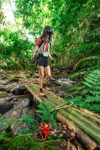 BIB: 
                            <button type="button" onclick="openModal(24821110)" class="btn btn-primary btn-sm float-right btn-popup" data-toggle="modal" data-target=".modal-high-quality">
                        <i class="fas fa-shopping-cart"></i> Add to Cart
                    </button>
                                            <button type="button" onclick="isThisMe(24821110, true)" class="btn btn-success btn-sm float-right btn-popup btn-isme hidden" data-toggle="tooltip" data-placement="bottom" title="นี่คือรูปของคุณใช่ไหม คลิกที่นี่เพื่อเอาเข้าอัลบั้ม">
                        <i class="fas fa-plus"></i> Add to album
                    </button>
                    <button type="button" onclick="isThisMe(24821110, false)" class="btn btn-warning btn-sm float-right btn-popup btn-isnotme hidden">
                        <i class="fas fa-ban"></i> Remove from album
                    </button>