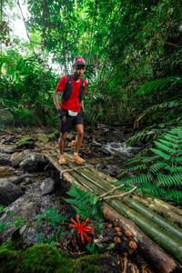 BIB: 
                            <button type="button" onclick="openModal(24820581)" class="btn btn-primary btn-sm float-right btn-popup" data-toggle="modal" data-target=".modal-high-quality">
                        <i class="fas fa-shopping-cart"></i> Add to Cart
                    </button>
                                            <button type="button" onclick="isThisMe(24820581, true)" class="btn btn-success btn-sm float-right btn-popup btn-isme hidden" data-toggle="tooltip" data-placement="bottom" title="นี่คือรูปของคุณใช่ไหม คลิกที่นี่เพื่อเอาเข้าอัลบั้ม">
                        <i class="fas fa-plus"></i> Add to album
                    </button>
                    <button type="button" onclick="isThisMe(24820581, false)" class="btn btn-warning btn-sm float-right btn-popup btn-isnotme hidden">
                        <i class="fas fa-ban"></i> Remove from album
                    </button>