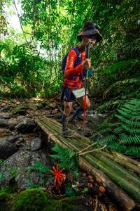 BIB: 1068
                            <button type="button" onclick="openModal(24821720)" class="btn btn-primary btn-sm float-right btn-popup" data-toggle="modal" data-target=".modal-high-quality">
                        <i class="fas fa-shopping-cart"></i> Add to Cart
                    </button>
                                            <button type="button" onclick="isThisMe(24821720, true)" class="btn btn-success btn-sm float-right btn-popup btn-isme hidden" data-toggle="tooltip" data-placement="bottom" title="นี่คือรูปของคุณใช่ไหม คลิกที่นี่เพื่อเอาเข้าอัลบั้ม">
                        <i class="fas fa-plus"></i> Add to album
                    </button>
                    <button type="button" onclick="isThisMe(24821720, false)" class="btn btn-warning btn-sm float-right btn-popup btn-isnotme hidden">
                        <i class="fas fa-ban"></i> Remove from album
                    </button>