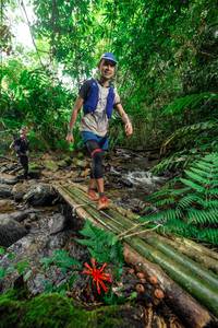 BIB: 
                            <button type="button" onclick="openModal(24820706)" class="btn btn-primary btn-sm float-right btn-popup" data-toggle="modal" data-target=".modal-high-quality">
                        <i class="fas fa-shopping-cart"></i> Add to Cart
                    </button>
                                            <button type="button" onclick="isThisMe(24820706, true)" class="btn btn-success btn-sm float-right btn-popup btn-isme hidden" data-toggle="tooltip" data-placement="bottom" title="นี่คือรูปของคุณใช่ไหม คลิกที่นี่เพื่อเอาเข้าอัลบั้ม">
                        <i class="fas fa-plus"></i> Add to album
                    </button>
                    <button type="button" onclick="isThisMe(24820706, false)" class="btn btn-warning btn-sm float-right btn-popup btn-isnotme hidden">
                        <i class="fas fa-ban"></i> Remove from album
                    </button>