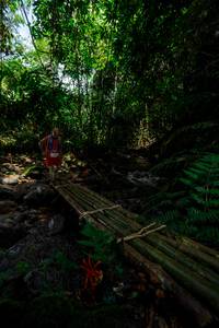 BIB: 
                            <button type="button" onclick="openModal(24822359)" class="btn btn-primary btn-sm float-right btn-popup" data-toggle="modal" data-target=".modal-high-quality">
                        <i class="fas fa-shopping-cart"></i> Add to Cart
                    </button>
                                            <button type="button" onclick="isThisMe(24822359, true)" class="btn btn-success btn-sm float-right btn-popup btn-isme hidden" data-toggle="tooltip" data-placement="bottom" title="นี่คือรูปของคุณใช่ไหม คลิกที่นี่เพื่อเอาเข้าอัลบั้ม">
                        <i class="fas fa-plus"></i> Add to album
                    </button>
                    <button type="button" onclick="isThisMe(24822359, false)" class="btn btn-warning btn-sm float-right btn-popup btn-isnotme hidden">
                        <i class="fas fa-ban"></i> Remove from album
                    </button>