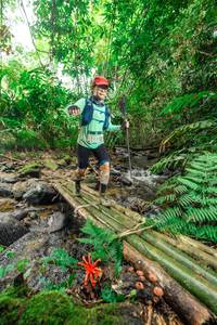 BIB: 
                            <button type="button" onclick="openModal(24821414)" class="btn btn-primary btn-sm float-right btn-popup" data-toggle="modal" data-target=".modal-high-quality">
                        <i class="fas fa-shopping-cart"></i> Add to Cart
                    </button>
                                            <button type="button" onclick="isThisMe(24821414, true)" class="btn btn-success btn-sm float-right btn-popup btn-isme hidden" data-toggle="tooltip" data-placement="bottom" title="นี่คือรูปของคุณใช่ไหม คลิกที่นี่เพื่อเอาเข้าอัลบั้ม">
                        <i class="fas fa-plus"></i> Add to album
                    </button>
                    <button type="button" onclick="isThisMe(24821414, false)" class="btn btn-warning btn-sm float-right btn-popup btn-isnotme hidden">
                        <i class="fas fa-ban"></i> Remove from album
                    </button>