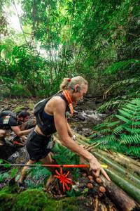 BIB: 
                            <button type="button" onclick="openModal(24820984)" class="btn btn-primary btn-sm float-right btn-popup" data-toggle="modal" data-target=".modal-high-quality">
                        <i class="fas fa-shopping-cart"></i> Add to Cart
                    </button>
                                            <button type="button" onclick="isThisMe(24820984, true)" class="btn btn-success btn-sm float-right btn-popup btn-isme hidden" data-toggle="tooltip" data-placement="bottom" title="นี่คือรูปของคุณใช่ไหม คลิกที่นี่เพื่อเอาเข้าอัลบั้ม">
                        <i class="fas fa-plus"></i> Add to album
                    </button>
                    <button type="button" onclick="isThisMe(24820984, false)" class="btn btn-warning btn-sm float-right btn-popup btn-isnotme hidden">
                        <i class="fas fa-ban"></i> Remove from album
                    </button>