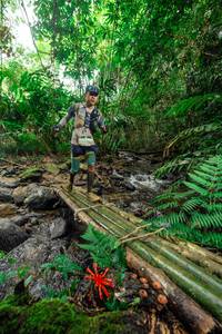 BIB: 
                            <button type="button" onclick="openModal(24820726)" class="btn btn-primary btn-sm float-right btn-popup" data-toggle="modal" data-target=".modal-high-quality">
                        <i class="fas fa-shopping-cart"></i> Add to Cart
                    </button>
                                            <button type="button" onclick="isThisMe(24820726, true)" class="btn btn-success btn-sm float-right btn-popup btn-isme hidden" data-toggle="tooltip" data-placement="bottom" title="นี่คือรูปของคุณใช่ไหม คลิกที่นี่เพื่อเอาเข้าอัลบั้ม">
                        <i class="fas fa-plus"></i> Add to album
                    </button>
                    <button type="button" onclick="isThisMe(24820726, false)" class="btn btn-warning btn-sm float-right btn-popup btn-isnotme hidden">
                        <i class="fas fa-ban"></i> Remove from album
                    </button>