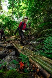 BIB: 
                            <button type="button" onclick="openModal(24821695)" class="btn btn-primary btn-sm float-right btn-popup" data-toggle="modal" data-target=".modal-high-quality">
                        <i class="fas fa-shopping-cart"></i> Add to Cart
                    </button>
                                            <button type="button" onclick="isThisMe(24821695, true)" class="btn btn-success btn-sm float-right btn-popup btn-isme hidden" data-toggle="tooltip" data-placement="bottom" title="นี่คือรูปของคุณใช่ไหม คลิกที่นี่เพื่อเอาเข้าอัลบั้ม">
                        <i class="fas fa-plus"></i> Add to album
                    </button>
                    <button type="button" onclick="isThisMe(24821695, false)" class="btn btn-warning btn-sm float-right btn-popup btn-isnotme hidden">
                        <i class="fas fa-ban"></i> Remove from album
                    </button>