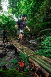 BIB: 
                            <button type="button" onclick="openModal(24821318)" class="btn btn-primary btn-sm float-right btn-popup" data-toggle="modal" data-target=".modal-high-quality">
                        <i class="fas fa-shopping-cart"></i> Add to Cart
                    </button>
                                            <button type="button" onclick="isThisMe(24821318, true)" class="btn btn-success btn-sm float-right btn-popup btn-isme hidden" data-toggle="tooltip" data-placement="bottom" title="นี่คือรูปของคุณใช่ไหม คลิกที่นี่เพื่อเอาเข้าอัลบั้ม">
                        <i class="fas fa-plus"></i> Add to album
                    </button>
                    <button type="button" onclick="isThisMe(24821318, false)" class="btn btn-warning btn-sm float-right btn-popup btn-isnotme hidden">
                        <i class="fas fa-ban"></i> Remove from album
                    </button>