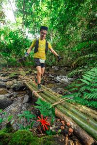 BIB: 
                            <button type="button" onclick="openModal(24820821)" class="btn btn-primary btn-sm float-right btn-popup" data-toggle="modal" data-target=".modal-high-quality">
                        <i class="fas fa-shopping-cart"></i> Add to Cart
                    </button>
                                            <button type="button" onclick="isThisMe(24820821, true)" class="btn btn-success btn-sm float-right btn-popup btn-isme hidden" data-toggle="tooltip" data-placement="bottom" title="นี่คือรูปของคุณใช่ไหม คลิกที่นี่เพื่อเอาเข้าอัลบั้ม">
                        <i class="fas fa-plus"></i> Add to album
                    </button>
                    <button type="button" onclick="isThisMe(24820821, false)" class="btn btn-warning btn-sm float-right btn-popup btn-isnotme hidden">
                        <i class="fas fa-ban"></i> Remove from album
                    </button>