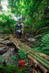 BIB: 
                            <button type="button" onclick="openModal(24820486)" class="btn btn-primary btn-sm float-right btn-popup" data-toggle="modal" data-target=".modal-high-quality">
                        <i class="fas fa-shopping-cart"></i> Add to Cart
                    </button>
                                            <button type="button" onclick="isThisMe(24820486, true)" class="btn btn-success btn-sm float-right btn-popup btn-isme hidden" data-toggle="tooltip" data-placement="bottom" title="นี่คือรูปของคุณใช่ไหม คลิกที่นี่เพื่อเอาเข้าอัลบั้ม">
                        <i class="fas fa-plus"></i> Add to album
                    </button>
                    <button type="button" onclick="isThisMe(24820486, false)" class="btn btn-warning btn-sm float-right btn-popup btn-isnotme hidden">
                        <i class="fas fa-ban"></i> Remove from album
                    </button>