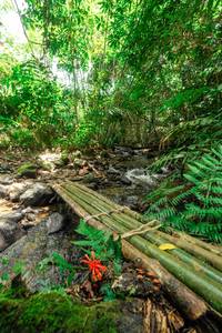 BIB: 
                            <button type="button" onclick="openModal(24822876)" class="btn btn-primary btn-sm float-right btn-popup" data-toggle="modal" data-target=".modal-high-quality">
                        <i class="fas fa-shopping-cart"></i> Add to Cart
                    </button>
                                            <button type="button" onclick="isThisMe(24822876, true)" class="btn btn-success btn-sm float-right btn-popup btn-isme hidden" data-toggle="tooltip" data-placement="bottom" title="นี่คือรูปของคุณใช่ไหม คลิกที่นี่เพื่อเอาเข้าอัลบั้ม">
                        <i class="fas fa-plus"></i> Add to album
                    </button>
                    <button type="button" onclick="isThisMe(24822876, false)" class="btn btn-warning btn-sm float-right btn-popup btn-isnotme hidden">
                        <i class="fas fa-ban"></i> Remove from album
                    </button>