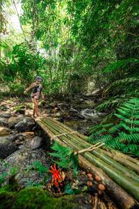 BIB: 
                            <button type="button" onclick="openModal(24822473)" class="btn btn-primary btn-sm float-right btn-popup" data-toggle="modal" data-target=".modal-high-quality">
                        <i class="fas fa-shopping-cart"></i> Add to Cart
                    </button>
                                            <button type="button" onclick="isThisMe(24822473, true)" class="btn btn-success btn-sm float-right btn-popup btn-isme hidden" data-toggle="tooltip" data-placement="bottom" title="นี่คือรูปของคุณใช่ไหม คลิกที่นี่เพื่อเอาเข้าอัลบั้ม">
                        <i class="fas fa-plus"></i> Add to album
                    </button>
                    <button type="button" onclick="isThisMe(24822473, false)" class="btn btn-warning btn-sm float-right btn-popup btn-isnotme hidden">
                        <i class="fas fa-ban"></i> Remove from album
                    </button>