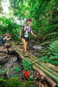 BIB: 
                            <button type="button" onclick="openModal(24820914)" class="btn btn-primary btn-sm float-right btn-popup" data-toggle="modal" data-target=".modal-high-quality">
                        <i class="fas fa-shopping-cart"></i> Add to Cart
                    </button>
                                            <button type="button" onclick="isThisMe(24820914, true)" class="btn btn-success btn-sm float-right btn-popup btn-isme hidden" data-toggle="tooltip" data-placement="bottom" title="นี่คือรูปของคุณใช่ไหม คลิกที่นี่เพื่อเอาเข้าอัลบั้ม">
                        <i class="fas fa-plus"></i> Add to album
                    </button>
                    <button type="button" onclick="isThisMe(24820914, false)" class="btn btn-warning btn-sm float-right btn-popup btn-isnotme hidden">
                        <i class="fas fa-ban"></i> Remove from album
                    </button>