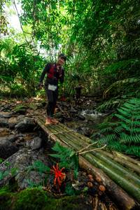 BIB: 
                            <button type="button" onclick="openModal(24821697)" class="btn btn-primary btn-sm float-right btn-popup" data-toggle="modal" data-target=".modal-high-quality">
                        <i class="fas fa-shopping-cart"></i> Add to Cart
                    </button>
                                            <button type="button" onclick="isThisMe(24821697, true)" class="btn btn-success btn-sm float-right btn-popup btn-isme hidden" data-toggle="tooltip" data-placement="bottom" title="นี่คือรูปของคุณใช่ไหม คลิกที่นี่เพื่อเอาเข้าอัลบั้ม">
                        <i class="fas fa-plus"></i> Add to album
                    </button>
                    <button type="button" onclick="isThisMe(24821697, false)" class="btn btn-warning btn-sm float-right btn-popup btn-isnotme hidden">
                        <i class="fas fa-ban"></i> Remove from album
                    </button>