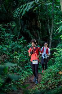 BIB: 
                            <button type="button" onclick="openModal(24838057)" class="btn btn-primary btn-sm float-right btn-popup" data-toggle="modal" data-target=".modal-high-quality">
                        <i class="fas fa-shopping-cart"></i> Add to Cart
                    </button>
                                            <button type="button" onclick="isThisMe(24838057, true)" class="btn btn-success btn-sm float-right btn-popup btn-isme hidden" data-toggle="tooltip" data-placement="bottom" title="นี่คือรูปของคุณใช่ไหม คลิกที่นี่เพื่อเอาเข้าอัลบั้ม">
                        <i class="fas fa-plus"></i> Add to album
                    </button>
                    <button type="button" onclick="isThisMe(24838057, false)" class="btn btn-warning btn-sm float-right btn-popup btn-isnotme hidden">
                        <i class="fas fa-ban"></i> Remove from album
                    </button>