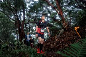 BIB: 555, 
                            <button type="button" onclick="openModal(24768817)" class="btn btn-primary btn-sm float-right btn-popup" data-toggle="modal" data-target=".modal-high-quality">
                        <i class="fas fa-shopping-cart"></i> Add to Cart
                    </button>
                                            <button type="button" onclick="isThisMe(24768817, true)" class="btn btn-success btn-sm float-right btn-popup btn-isme hidden" data-toggle="tooltip" data-placement="bottom" title="นี่คือรูปของคุณใช่ไหม คลิกที่นี่เพื่อเอาเข้าอัลบั้ม">
                        <i class="fas fa-plus"></i> Add to album
                    </button>
                    <button type="button" onclick="isThisMe(24768817, false)" class="btn btn-warning btn-sm float-right btn-popup btn-isnotme hidden">
                        <i class="fas fa-ban"></i> Remove from album
                    </button>