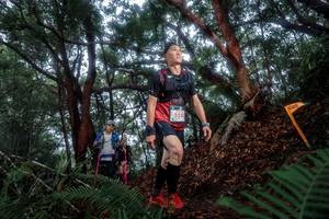 BIB: 5553, 
                            <button type="button" onclick="openModal(24768837)" class="btn btn-primary btn-sm float-right btn-popup" data-toggle="modal" data-target=".modal-high-quality">
                        <i class="fas fa-shopping-cart"></i> Add to Cart
                    </button>
                                            <button type="button" onclick="isThisMe(24768837, true)" class="btn btn-success btn-sm float-right btn-popup btn-isme hidden" data-toggle="tooltip" data-placement="bottom" title="นี่คือรูปของคุณใช่ไหม คลิกที่นี่เพื่อเอาเข้าอัลบั้ม">
                        <i class="fas fa-plus"></i> Add to album
                    </button>
                    <button type="button" onclick="isThisMe(24768837, false)" class="btn btn-warning btn-sm float-right btn-popup btn-isnotme hidden">
                        <i class="fas fa-ban"></i> Remove from album
                    </button>