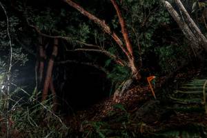 BIB: 
                            <button type="button" onclick="openModal(24758651)" class="btn btn-primary btn-sm float-right btn-popup" data-toggle="modal" data-target=".modal-high-quality">
                        <i class="fas fa-shopping-cart"></i> Add to Cart
                    </button>
                                            <button type="button" onclick="isThisMe(24758651, true)" class="btn btn-success btn-sm float-right btn-popup btn-isme hidden" data-toggle="tooltip" data-placement="bottom" title="นี่คือรูปของคุณใช่ไหม คลิกที่นี่เพื่อเอาเข้าอัลบั้ม">
                        <i class="fas fa-plus"></i> Add to album
                    </button>
                    <button type="button" onclick="isThisMe(24758651, false)" class="btn btn-warning btn-sm float-right btn-popup btn-isnotme hidden">
                        <i class="fas fa-ban"></i> Remove from album
                    </button>