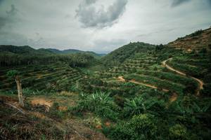 BIB: 
                            <button type="button" onclick="openModal(24759557)" class="btn btn-primary btn-sm float-right btn-popup" data-toggle="modal" data-target=".modal-high-quality">
                        <i class="fas fa-shopping-cart"></i> Add to Cart
                    </button>
                                            <button type="button" onclick="isThisMe(24759557, true)" class="btn btn-success btn-sm float-right btn-popup btn-isme hidden" data-toggle="tooltip" data-placement="bottom" title="นี่คือรูปของคุณใช่ไหม คลิกที่นี่เพื่อเอาเข้าอัลบั้ม">
                        <i class="fas fa-plus"></i> Add to album
                    </button>
                    <button type="button" onclick="isThisMe(24759557, false)" class="btn btn-warning btn-sm float-right btn-popup btn-isnotme hidden">
                        <i class="fas fa-ban"></i> Remove from album
                    </button>