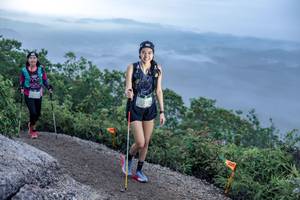 BIB: 
                            <button type="button" onclick="openModal(24774522)" class="btn btn-primary btn-sm float-right btn-popup" data-toggle="modal" data-target=".modal-high-quality">
                        <i class="fas fa-shopping-cart"></i> Add to Cart
                    </button>
                                            <button type="button" onclick="isThisMe(24774522, true)" class="btn btn-success btn-sm float-right btn-popup btn-isme hidden" data-toggle="tooltip" data-placement="bottom" title="นี่คือรูปของคุณใช่ไหม คลิกที่นี่เพื่อเอาเข้าอัลบั้ม">
                        <i class="fas fa-plus"></i> Add to album
                    </button>
                    <button type="button" onclick="isThisMe(24774522, false)" class="btn btn-warning btn-sm float-right btn-popup btn-isnotme hidden">
                        <i class="fas fa-ban"></i> Remove from album
                    </button>