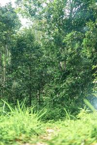 BIB: 
                            <button type="button" onclick="openModal(24876927)" class="btn btn-primary btn-sm float-right btn-popup" data-toggle="modal" data-target=".modal-high-quality">
                        <i class="fas fa-shopping-cart"></i> Add to Cart
                    </button>
                                            <button type="button" onclick="isThisMe(24876927, true)" class="btn btn-success btn-sm float-right btn-popup btn-isme hidden" data-toggle="tooltip" data-placement="bottom" title="นี่คือรูปของคุณใช่ไหม คลิกที่นี่เพื่อเอาเข้าอัลบั้ม">
                        <i class="fas fa-plus"></i> Add to album
                    </button>
                    <button type="button" onclick="isThisMe(24876927, false)" class="btn btn-warning btn-sm float-right btn-popup btn-isnotme hidden">
                        <i class="fas fa-ban"></i> Remove from album
                    </button>