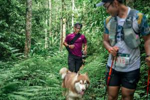 BIB: 
                            <button type="button" onclick="openModal(24877663)" class="btn btn-primary btn-sm float-right btn-popup" data-toggle="modal" data-target=".modal-high-quality">
                        <i class="fas fa-shopping-cart"></i> Add to Cart
                    </button>
                                            <button type="button" onclick="isThisMe(24877663, true)" class="btn btn-success btn-sm float-right btn-popup btn-isme hidden" data-toggle="tooltip" data-placement="bottom" title="นี่คือรูปของคุณใช่ไหม คลิกที่นี่เพื่อเอาเข้าอัลบั้ม">
                        <i class="fas fa-plus"></i> Add to album
                    </button>
                    <button type="button" onclick="isThisMe(24877663, false)" class="btn btn-warning btn-sm float-right btn-popup btn-isnotme hidden">
                        <i class="fas fa-ban"></i> Remove from album
                    </button>