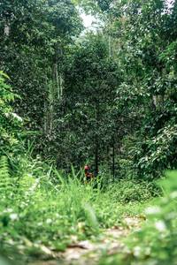 BIB: 
                            <button type="button" onclick="openModal(24876999)" class="btn btn-primary btn-sm float-right btn-popup" data-toggle="modal" data-target=".modal-high-quality">
                        <i class="fas fa-shopping-cart"></i> Add to Cart
                    </button>
                                            <button type="button" onclick="isThisMe(24876999, true)" class="btn btn-success btn-sm float-right btn-popup btn-isme hidden" data-toggle="tooltip" data-placement="bottom" title="นี่คือรูปของคุณใช่ไหม คลิกที่นี่เพื่อเอาเข้าอัลบั้ม">
                        <i class="fas fa-plus"></i> Add to album
                    </button>
                    <button type="button" onclick="isThisMe(24876999, false)" class="btn btn-warning btn-sm float-right btn-popup btn-isnotme hidden">
                        <i class="fas fa-ban"></i> Remove from album
                    </button>