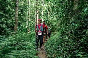 BIB: 53945
                            <button type="button" onclick="openModal(24877506)" class="btn btn-primary btn-sm float-right btn-popup" data-toggle="modal" data-target=".modal-high-quality">
                        <i class="fas fa-shopping-cart"></i> Add to Cart
                    </button>
                                            <button type="button" onclick="isThisMe(24877506, true)" class="btn btn-success btn-sm float-right btn-popup btn-isme hidden" data-toggle="tooltip" data-placement="bottom" title="นี่คือรูปของคุณใช่ไหม คลิกที่นี่เพื่อเอาเข้าอัลบั้ม">
                        <i class="fas fa-plus"></i> Add to album
                    </button>
                    <button type="button" onclick="isThisMe(24877506, false)" class="btn btn-warning btn-sm float-right btn-popup btn-isnotme hidden">
                        <i class="fas fa-ban"></i> Remove from album
                    </button>