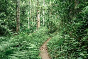 BIB: 
                            <button type="button" onclick="openModal(24877072)" class="btn btn-primary btn-sm float-right btn-popup" data-toggle="modal" data-target=".modal-high-quality">
                        <i class="fas fa-shopping-cart"></i> Add to Cart
                    </button>
                                            <button type="button" onclick="isThisMe(24877072, true)" class="btn btn-success btn-sm float-right btn-popup btn-isme hidden" data-toggle="tooltip" data-placement="bottom" title="นี่คือรูปของคุณใช่ไหม คลิกที่นี่เพื่อเอาเข้าอัลบั้ม">
                        <i class="fas fa-plus"></i> Add to album
                    </button>
                    <button type="button" onclick="isThisMe(24877072, false)" class="btn btn-warning btn-sm float-right btn-popup btn-isnotme hidden">
                        <i class="fas fa-ban"></i> Remove from album
                    </button>