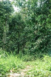 BIB: 
                            <button type="button" onclick="openModal(24876959)" class="btn btn-primary btn-sm float-right btn-popup" data-toggle="modal" data-target=".modal-high-quality">
                        <i class="fas fa-shopping-cart"></i> Add to Cart
                    </button>
                                            <button type="button" onclick="isThisMe(24876959, true)" class="btn btn-success btn-sm float-right btn-popup btn-isme hidden" data-toggle="tooltip" data-placement="bottom" title="นี่คือรูปของคุณใช่ไหม คลิกที่นี่เพื่อเอาเข้าอัลบั้ม">
                        <i class="fas fa-plus"></i> Add to album
                    </button>
                    <button type="button" onclick="isThisMe(24876959, false)" class="btn btn-warning btn-sm float-right btn-popup btn-isnotme hidden">
                        <i class="fas fa-ban"></i> Remove from album
                    </button>