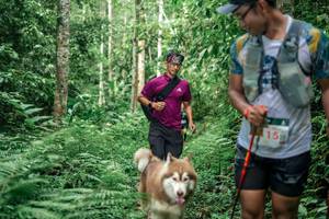 BIB: 
                            <button type="button" onclick="openModal(24877662)" class="btn btn-primary btn-sm float-right btn-popup" data-toggle="modal" data-target=".modal-high-quality">
                        <i class="fas fa-shopping-cart"></i> Add to Cart
                    </button>
                                            <button type="button" onclick="isThisMe(24877662, true)" class="btn btn-success btn-sm float-right btn-popup btn-isme hidden" data-toggle="tooltip" data-placement="bottom" title="นี่คือรูปของคุณใช่ไหม คลิกที่นี่เพื่อเอาเข้าอัลบั้ม">
                        <i class="fas fa-plus"></i> Add to album
                    </button>
                    <button type="button" onclick="isThisMe(24877662, false)" class="btn btn-warning btn-sm float-right btn-popup btn-isnotme hidden">
                        <i class="fas fa-ban"></i> Remove from album
                    </button>