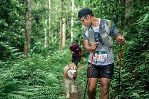 BIB: 5115
                            <button type="button" onclick="openModal(24877665)" class="btn btn-primary btn-sm float-right btn-popup" data-toggle="modal" data-target=".modal-high-quality">
                        <i class="fas fa-shopping-cart"></i> Add to Cart
                    </button>
                                            <button type="button" onclick="isThisMe(24877665, true)" class="btn btn-success btn-sm float-right btn-popup btn-isme hidden" data-toggle="tooltip" data-placement="bottom" title="นี่คือรูปของคุณใช่ไหม คลิกที่นี่เพื่อเอาเข้าอัลบั้ม">
                        <i class="fas fa-plus"></i> Add to album
                    </button>
                    <button type="button" onclick="isThisMe(24877665, false)" class="btn btn-warning btn-sm float-right btn-popup btn-isnotme hidden">
                        <i class="fas fa-ban"></i> Remove from album
                    </button>