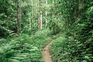 BIB: 
                            <button type="button" onclick="openModal(24877075)" class="btn btn-primary btn-sm float-right btn-popup" data-toggle="modal" data-target=".modal-high-quality">
                        <i class="fas fa-shopping-cart"></i> Add to Cart
                    </button>
                                            <button type="button" onclick="isThisMe(24877075, true)" class="btn btn-success btn-sm float-right btn-popup btn-isme hidden" data-toggle="tooltip" data-placement="bottom" title="นี่คือรูปของคุณใช่ไหม คลิกที่นี่เพื่อเอาเข้าอัลบั้ม">
                        <i class="fas fa-plus"></i> Add to album
                    </button>
                    <button type="button" onclick="isThisMe(24877075, false)" class="btn btn-warning btn-sm float-right btn-popup btn-isnotme hidden">
                        <i class="fas fa-ban"></i> Remove from album
                    </button>