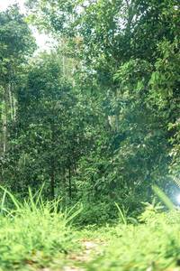 BIB: 
                            <button type="button" onclick="openModal(24876926)" class="btn btn-primary btn-sm float-right btn-popup" data-toggle="modal" data-target=".modal-high-quality">
                        <i class="fas fa-shopping-cart"></i> Add to Cart
                    </button>
                                            <button type="button" onclick="isThisMe(24876926, true)" class="btn btn-success btn-sm float-right btn-popup btn-isme hidden" data-toggle="tooltip" data-placement="bottom" title="นี่คือรูปของคุณใช่ไหม คลิกที่นี่เพื่อเอาเข้าอัลบั้ม">
                        <i class="fas fa-plus"></i> Add to album
                    </button>
                    <button type="button" onclick="isThisMe(24876926, false)" class="btn btn-warning btn-sm float-right btn-popup btn-isnotme hidden">
                        <i class="fas fa-ban"></i> Remove from album
                    </button>