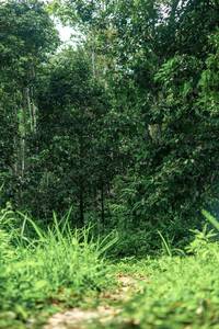 BIB: 
                            <button type="button" onclick="openModal(24876928)" class="btn btn-primary btn-sm float-right btn-popup" data-toggle="modal" data-target=".modal-high-quality">
                        <i class="fas fa-shopping-cart"></i> Add to Cart
                    </button>
                                            <button type="button" onclick="isThisMe(24876928, true)" class="btn btn-success btn-sm float-right btn-popup btn-isme hidden" data-toggle="tooltip" data-placement="bottom" title="นี่คือรูปของคุณใช่ไหม คลิกที่นี่เพื่อเอาเข้าอัลบั้ม">
                        <i class="fas fa-plus"></i> Add to album
                    </button>
                    <button type="button" onclick="isThisMe(24876928, false)" class="btn btn-warning btn-sm float-right btn-popup btn-isnotme hidden">
                        <i class="fas fa-ban"></i> Remove from album
                    </button>