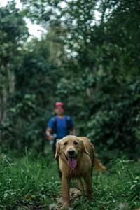 BIB: 
                            <button type="button" onclick="openModal(24876368)" class="btn btn-primary btn-sm float-right btn-popup" data-toggle="modal" data-target=".modal-high-quality">
                        <i class="fas fa-shopping-cart"></i> Add to Cart
                    </button>
                                            <button type="button" onclick="isThisMe(24876368, true)" class="btn btn-success btn-sm float-right btn-popup btn-isme hidden" data-toggle="tooltip" data-placement="bottom" title="นี่คือรูปของคุณใช่ไหม คลิกที่นี่เพื่อเอาเข้าอัลบั้ม">
                        <i class="fas fa-plus"></i> Add to album
                    </button>
                    <button type="button" onclick="isThisMe(24876368, false)" class="btn btn-warning btn-sm float-right btn-popup btn-isnotme hidden">
                        <i class="fas fa-ban"></i> Remove from album
                    </button>