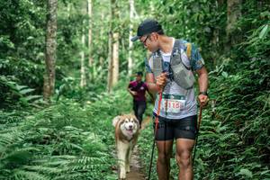 BIB: 115
                            <button type="button" onclick="openModal(24877667)" class="btn btn-primary btn-sm float-right btn-popup" data-toggle="modal" data-target=".modal-high-quality">
                        <i class="fas fa-shopping-cart"></i> Add to Cart
                    </button>
                                            <button type="button" onclick="isThisMe(24877667, true)" class="btn btn-success btn-sm float-right btn-popup btn-isme hidden" data-toggle="tooltip" data-placement="bottom" title="นี่คือรูปของคุณใช่ไหม คลิกที่นี่เพื่อเอาเข้าอัลบั้ม">
                        <i class="fas fa-plus"></i> Add to album
                    </button>
                    <button type="button" onclick="isThisMe(24877667, false)" class="btn btn-warning btn-sm float-right btn-popup btn-isnotme hidden">
                        <i class="fas fa-ban"></i> Remove from album
                    </button>