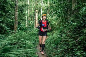 BIB: 
                            <button type="button" onclick="openModal(24877463)" class="btn btn-primary btn-sm float-right btn-popup" data-toggle="modal" data-target=".modal-high-quality">
                        <i class="fas fa-shopping-cart"></i> Add to Cart
                    </button>
                                            <button type="button" onclick="isThisMe(24877463, true)" class="btn btn-success btn-sm float-right btn-popup btn-isme hidden" data-toggle="tooltip" data-placement="bottom" title="นี่คือรูปของคุณใช่ไหม คลิกที่นี่เพื่อเอาเข้าอัลบั้ม">
                        <i class="fas fa-plus"></i> Add to album
                    </button>
                    <button type="button" onclick="isThisMe(24877463, false)" class="btn btn-warning btn-sm float-right btn-popup btn-isnotme hidden">
                        <i class="fas fa-ban"></i> Remove from album
                    </button>