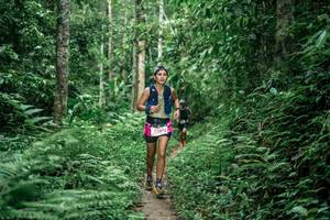 BIB: 
                            <button type="button" onclick="openModal(24878981)" class="btn btn-primary btn-sm float-right btn-popup" data-toggle="modal" data-target=".modal-high-quality">
                        <i class="fas fa-shopping-cart"></i> Add to Cart
                    </button>
                                            <button type="button" onclick="isThisMe(24878981, true)" class="btn btn-success btn-sm float-right btn-popup btn-isme hidden" data-toggle="tooltip" data-placement="bottom" title="นี่คือรูปของคุณใช่ไหม คลิกที่นี่เพื่อเอาเข้าอัลบั้ม">
                        <i class="fas fa-plus"></i> Add to album
                    </button>
                    <button type="button" onclick="isThisMe(24878981, false)" class="btn btn-warning btn-sm float-right btn-popup btn-isnotme hidden">
                        <i class="fas fa-ban"></i> Remove from album
                    </button>