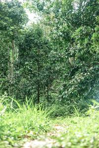 BIB: 
                            <button type="button" onclick="openModal(24876936)" class="btn btn-primary btn-sm float-right btn-popup" data-toggle="modal" data-target=".modal-high-quality">
                        <i class="fas fa-shopping-cart"></i> Add to Cart
                    </button>
                                            <button type="button" onclick="isThisMe(24876936, true)" class="btn btn-success btn-sm float-right btn-popup btn-isme hidden" data-toggle="tooltip" data-placement="bottom" title="นี่คือรูปของคุณใช่ไหม คลิกที่นี่เพื่อเอาเข้าอัลบั้ม">
                        <i class="fas fa-plus"></i> Add to album
                    </button>
                    <button type="button" onclick="isThisMe(24876936, false)" class="btn btn-warning btn-sm float-right btn-popup btn-isnotme hidden">
                        <i class="fas fa-ban"></i> Remove from album
                    </button>