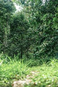 BIB: 
                            <button type="button" onclick="openModal(24876949)" class="btn btn-primary btn-sm float-right btn-popup" data-toggle="modal" data-target=".modal-high-quality">
                        <i class="fas fa-shopping-cart"></i> Add to Cart
                    </button>
                                            <button type="button" onclick="isThisMe(24876949, true)" class="btn btn-success btn-sm float-right btn-popup btn-isme hidden" data-toggle="tooltip" data-placement="bottom" title="นี่คือรูปของคุณใช่ไหม คลิกที่นี่เพื่อเอาเข้าอัลบั้ม">
                        <i class="fas fa-plus"></i> Add to album
                    </button>
                    <button type="button" onclick="isThisMe(24876949, false)" class="btn btn-warning btn-sm float-right btn-popup btn-isnotme hidden">
                        <i class="fas fa-ban"></i> Remove from album
                    </button>