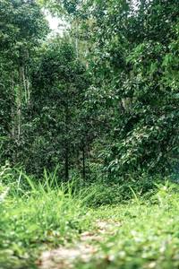 BIB: 
                            <button type="button" onclick="openModal(24876947)" class="btn btn-primary btn-sm float-right btn-popup" data-toggle="modal" data-target=".modal-high-quality">
                        <i class="fas fa-shopping-cart"></i> Add to Cart
                    </button>
                                            <button type="button" onclick="isThisMe(24876947, true)" class="btn btn-success btn-sm float-right btn-popup btn-isme hidden" data-toggle="tooltip" data-placement="bottom" title="นี่คือรูปของคุณใช่ไหม คลิกที่นี่เพื่อเอาเข้าอัลบั้ม">
                        <i class="fas fa-plus"></i> Add to album
                    </button>
                    <button type="button" onclick="isThisMe(24876947, false)" class="btn btn-warning btn-sm float-right btn-popup btn-isnotme hidden">
                        <i class="fas fa-ban"></i> Remove from album
                    </button>