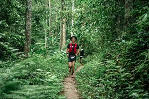 BIB: 
                            <button type="button" onclick="openModal(24879245)" class="btn btn-primary btn-sm float-right btn-popup" data-toggle="modal" data-target=".modal-high-quality">
                        <i class="fas fa-shopping-cart"></i> Add to Cart
                    </button>
                                            <button type="button" onclick="isThisMe(24879245, true)" class="btn btn-success btn-sm float-right btn-popup btn-isme hidden" data-toggle="tooltip" data-placement="bottom" title="นี่คือรูปของคุณใช่ไหม คลิกที่นี่เพื่อเอาเข้าอัลบั้ม">
                        <i class="fas fa-plus"></i> Add to album
                    </button>
                    <button type="button" onclick="isThisMe(24879245, false)" class="btn btn-warning btn-sm float-right btn-popup btn-isnotme hidden">
                        <i class="fas fa-ban"></i> Remove from album
                    </button>