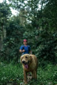 BIB: 
                            <button type="button" onclick="openModal(24876367)" class="btn btn-primary btn-sm float-right btn-popup" data-toggle="modal" data-target=".modal-high-quality">
                        <i class="fas fa-shopping-cart"></i> Add to Cart
                    </button>
                                            <button type="button" onclick="isThisMe(24876367, true)" class="btn btn-success btn-sm float-right btn-popup btn-isme hidden" data-toggle="tooltip" data-placement="bottom" title="นี่คือรูปของคุณใช่ไหม คลิกที่นี่เพื่อเอาเข้าอัลบั้ม">
                        <i class="fas fa-plus"></i> Add to album
                    </button>
                    <button type="button" onclick="isThisMe(24876367, false)" class="btn btn-warning btn-sm float-right btn-popup btn-isnotme hidden">
                        <i class="fas fa-ban"></i> Remove from album
                    </button>